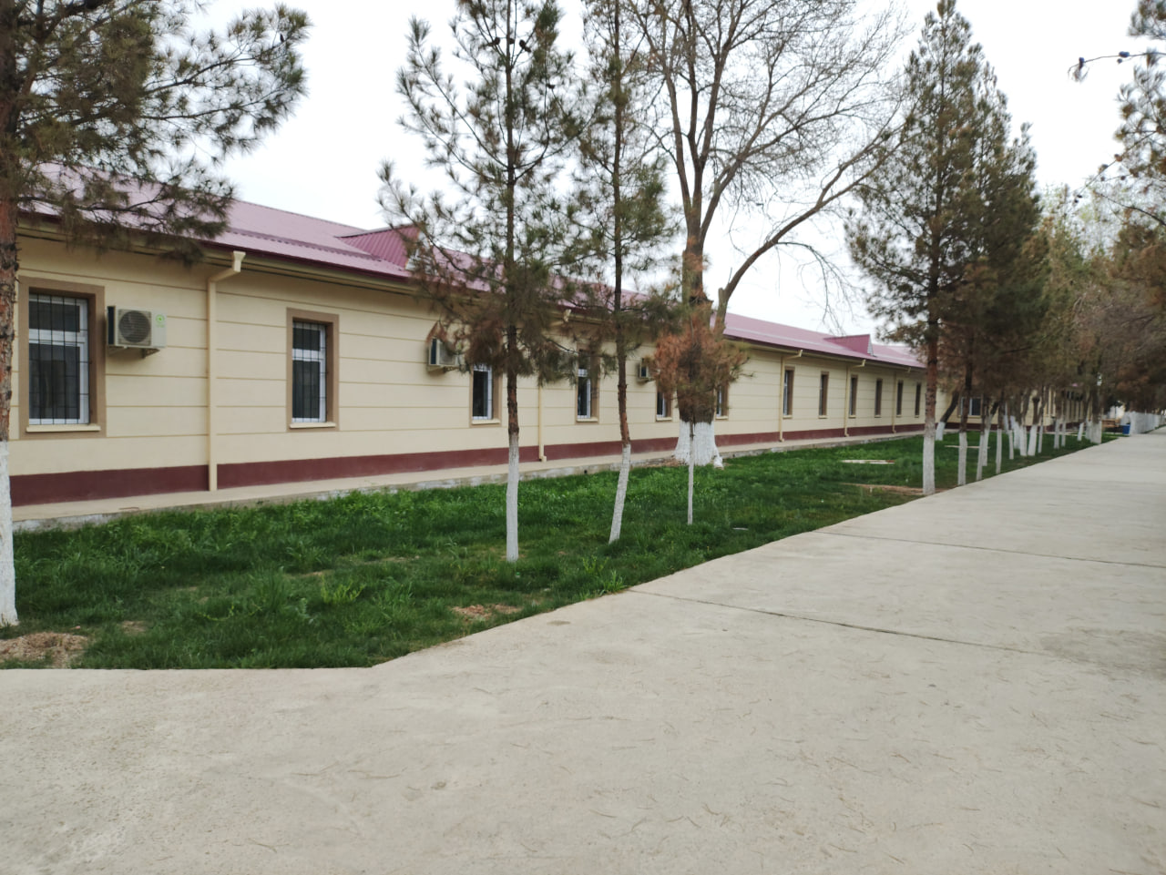 photo_2023-04-06_15-17-10