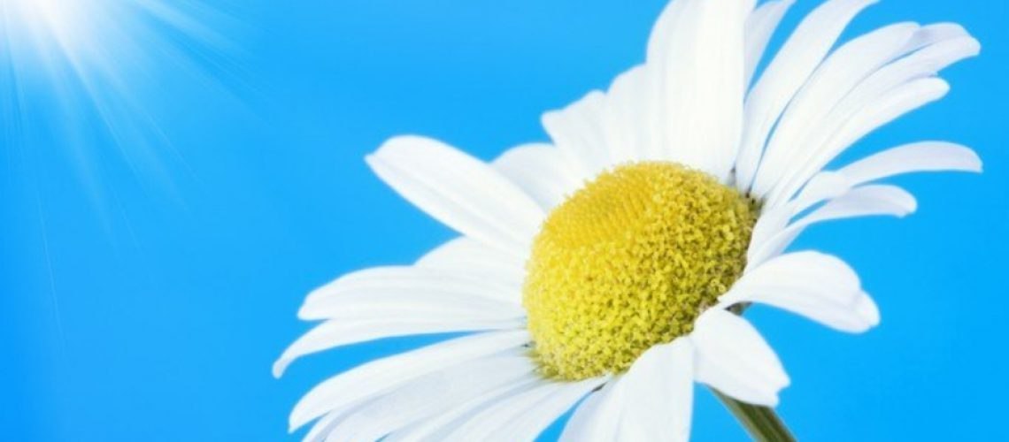 24 март — Бутунжаҳон туберкулёзга қарши кураш куни